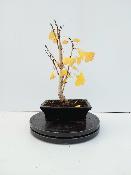 GINKGO